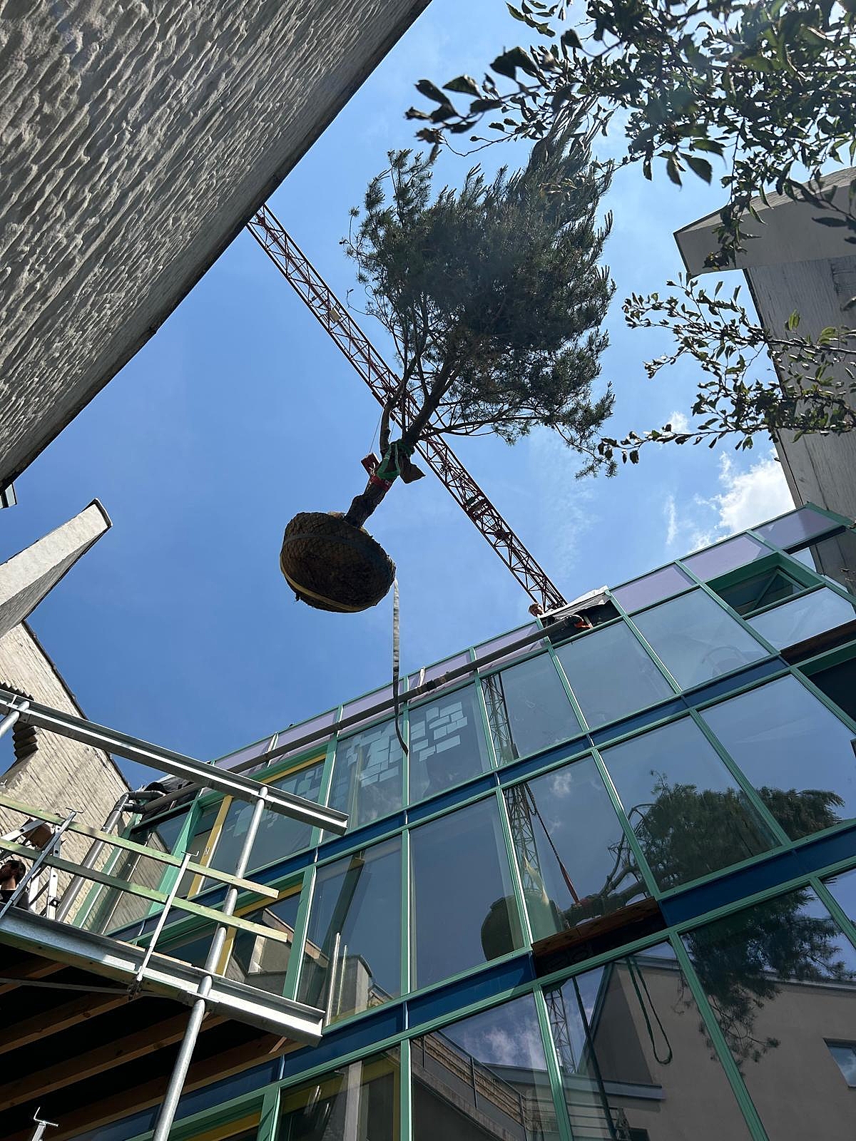 52ed6929 4bd6 4633 9a02 6cce76b90ab6