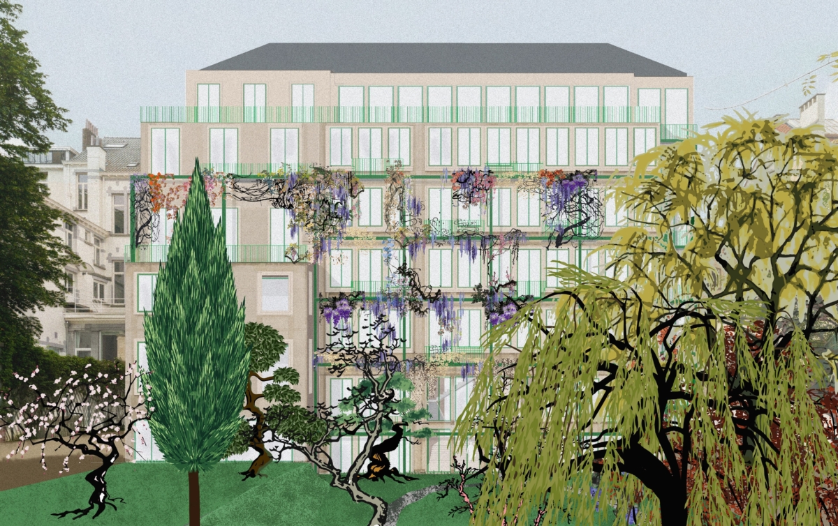 PALMERSTON 20240704115108